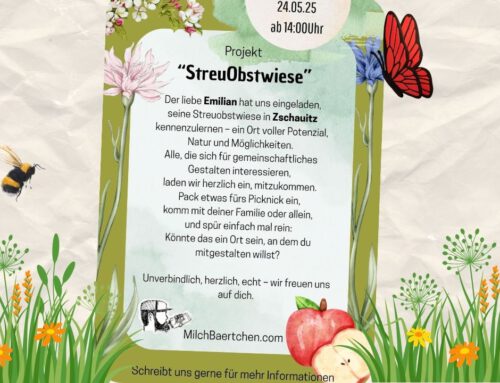Streuobstwiese Zschauitz – ein Ort mit Potenzial