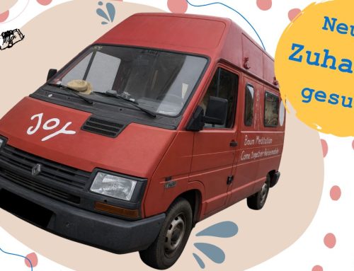 Ein treuer Reisebegleiter sucht neue Abenteuer